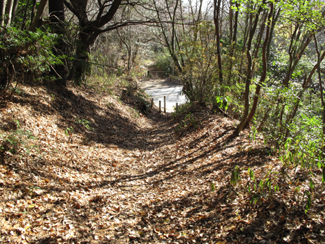 20131223hike (354)